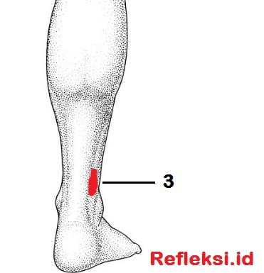 Refleksi sakit perut di kaki