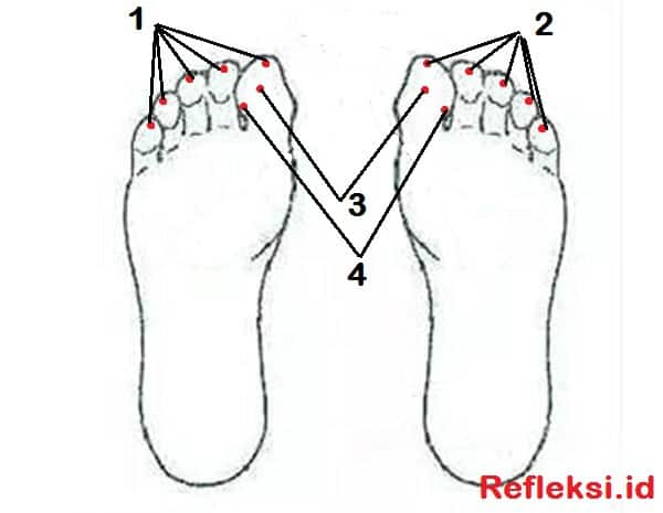 Titik Refleksi Sakit Kepala pada telapak kaki
